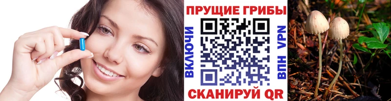 Псилоцибиновые грибы MAGIC MUSHROOMS  наркотики  Новокузнецк 
