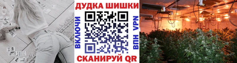 МАРИХУАНА VHQ Новокузнецк
